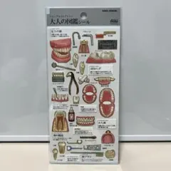 大人の図鑑シール 歯 カミオジャパン 正規品 1枚