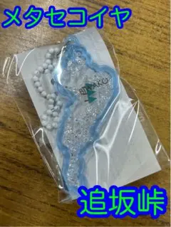 strictly speaking様 リクエスト 3点 まとめ商品