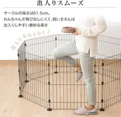 Item thumbnail for item 64088c19-245c-49cb-a96b-adde7169efee