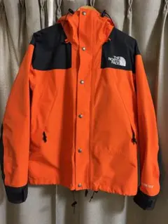 THE NORTH FACE 1990 MOUNTAIN JACKET GTX