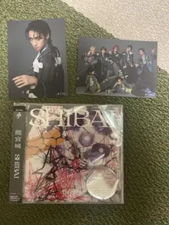 SHIBAI (Deluxe) 龍宮城 - メルカリ