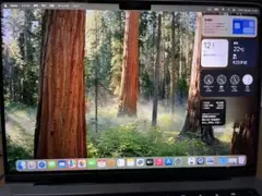 Apple MacBook Pro M1Max 32GB 14インチ