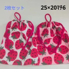 巾着袋　給食袋　2枚セット　25×20