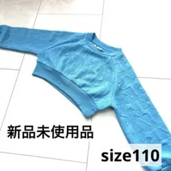 Item thumbnail for item a0a53a19-c190-437f-9ce4-c2eae2e9ba43