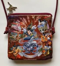 東京ディズニーランド 20周年記念パスケース