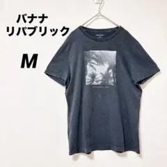 Item thumbnail for item 5ac38e25-2fe6-4bea-8e42-84b642a4a8a2