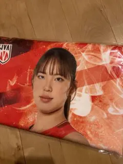 バレーボール女子日本代表 関菜々巳 マイクロファイバータオル・缶バッジ2点セット バレーボール女子日本代表 関菜々巳 マイクロファイバータオル・缶