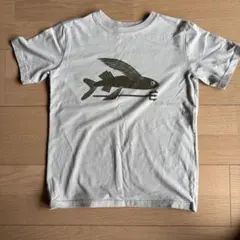 Item thumbnail for item b4be6b37-56a2-4fd6-807f-2d8d4b62c131