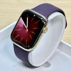 Apple Watch Series 7 Cellular 45mm ステンレス