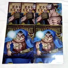 ONEPIECE 白ひげ クリアファイル5枚セット