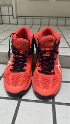 2026年最新】asics バレーボールシューズ オレンジの人気アイテム