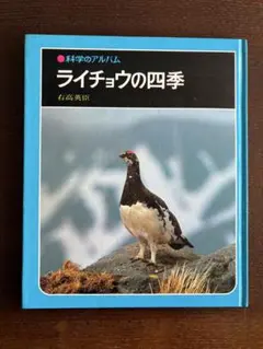 mike様 リクエスト 2点 まとめ商品