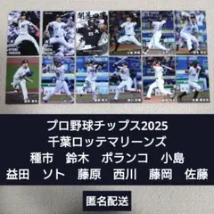 【千葉ロッテマリーンズ】2025プロ野球チップス　選手カードセット
