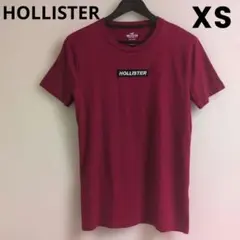 HOLLISTER ホリスター Tシャツ ボックスロゴ ワインレッド XS