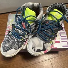 Item thumbnail for item f0abb853-2030-4110-b0fd-da86e9d33288