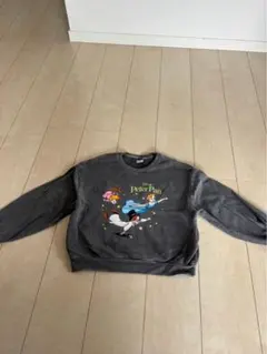 Disney Peter Pan トレーナー グレー