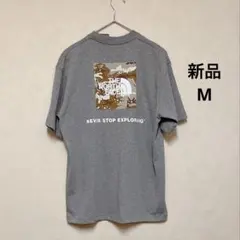 【新品】ザ ノースフェイス スクエアーロゴ TシャツM 迷彩