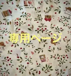 ニンテンドーDS Lite 本体　充電器