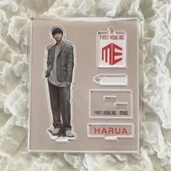 &TEAM ハルア HARUA アクスタ popup