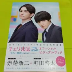 「チェリまほ THE MOVIE～30歳まで童貞だと魔法使いになれるらしい～」…