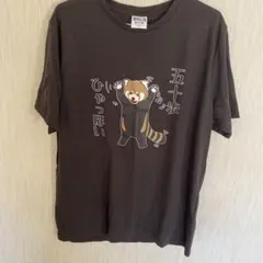 パンダ Tシャツ