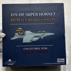 Witty Wings 1/72 F/A-18F SUPER HORNET
