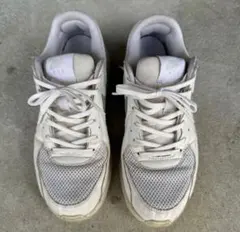 Item thumbnail for item 96671e44-8dbd-47ba-8434-f6cc765d28c4