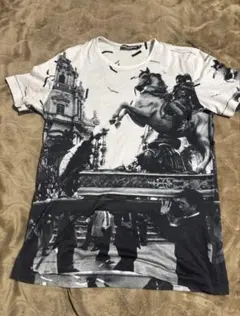 DOLCE & GABBANA バラプリント Tシャツ - メルカリ