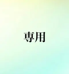 専用出品