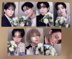 ENHYPEN daydream yzy 花束 セット コンプリート