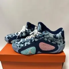 Jordan 型名不明バスケットボールシューズのサムネイル