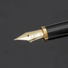 廃番 】PILOT パイロット ミュー 万年筆 F ペン先一体型 - メルカリ