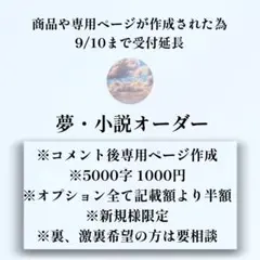 ・新規様限定・ 夢小説オーダー 夢 オーダー 小説