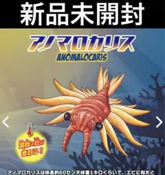 rnmsm様 リクエスト 2点 まとめ商品