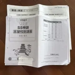 SAPIX 6年 桜蔭１コース 夏期志 四科 2023年受験（2022年度版） SAPIX 6年 桜蔭1コース 夏期志 四科 2023年受験 欠番なし - メルカリ