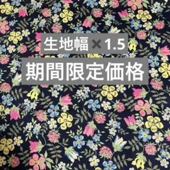 リバティタナローン　2021AW エディナム 1.5m