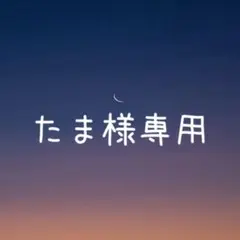 たま様 リクエスト 2点 まとめ商品