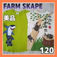 美品】SKAPE キッズ 半袖 Tシャツ 2点セット 120 サメ カブトムシのサムネイル