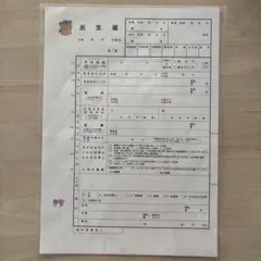 ファミリア　出生届