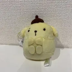 新品サンリオキャラクターズ 洗濯ばさみに挟まれちゃった マスコット