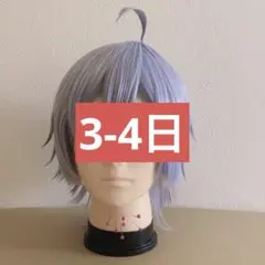 2026年最新】ツイステ シルバー ウィッグの人気アイテム - メルカリ