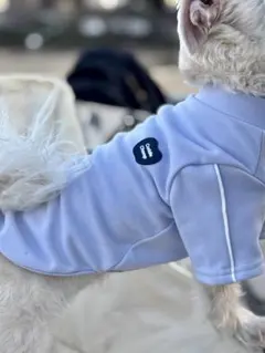 微起毛 やわらか保温伸縮インナー トップス ルームウェア　ブルーXL