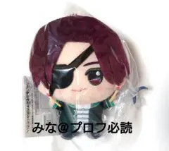 WIND BREAKER ちびぐるみ 蘇枋