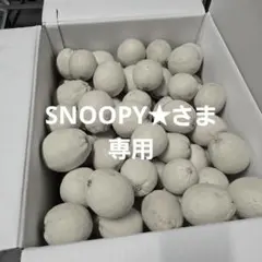 SNOOPY★さま専用
