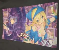 遊戯王 JDC プレイマット 希少】遊戯王 公式 プレイマット 蠱惑魔 アロメルス フレシア 1枚の