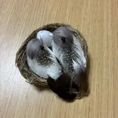 새둥지 조각상, 작은 새 2마리와 알의 오브제