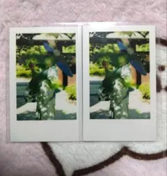 いれいす 実写チェキ ほとけ セット ⑥