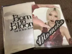 HANA トレカ　MOMOKA モモカ