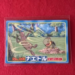 ポケモンカード トップサン　ナエトル　ウソッキーのサムネイル