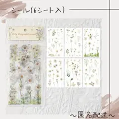 【シール】　6シート入り　シール　ステッカー　コラージュ　花　フラワー　デイジー